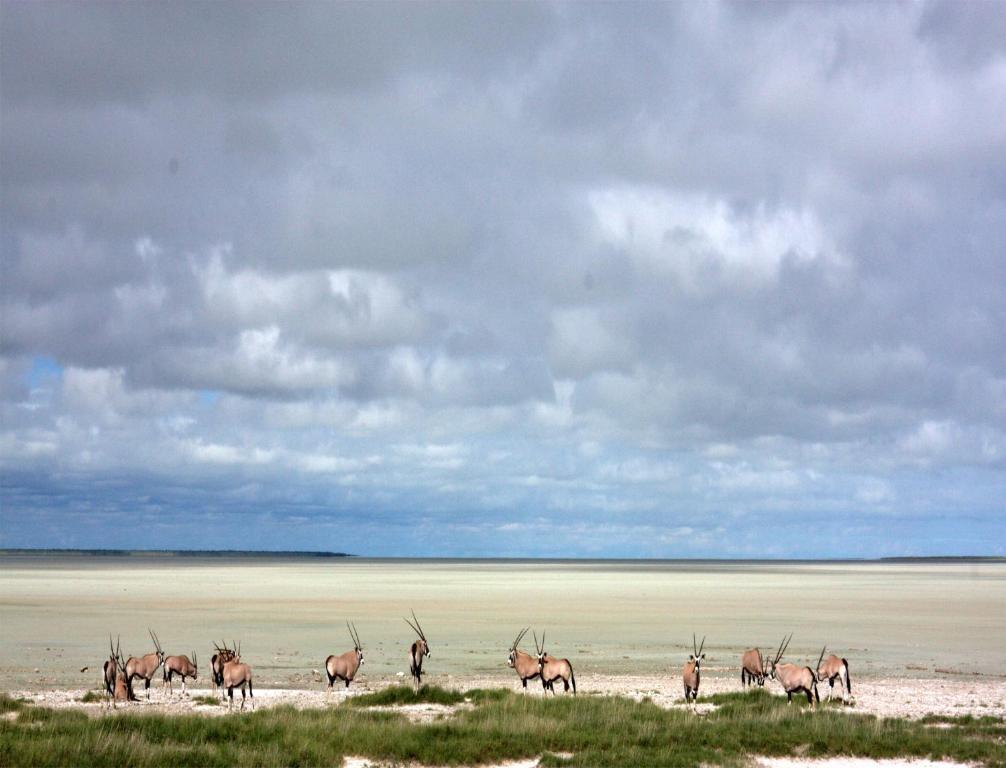 Villa Mokuti Etosha à Namutoni Extérieur photo