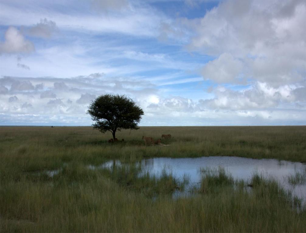 Villa Mokuti Etosha à Namutoni Extérieur photo
