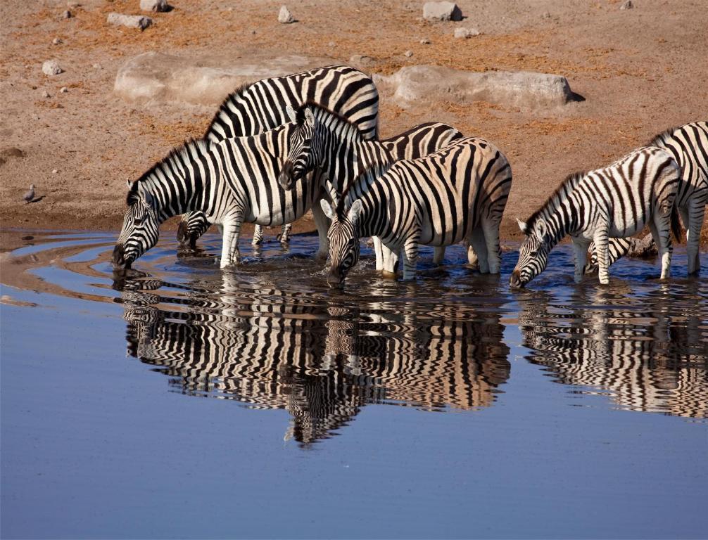 Villa Mokuti Etosha à Namutoni Extérieur photo